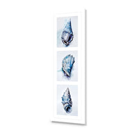 Watercolour Shell Montage