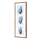 Watercolour Shell Montage