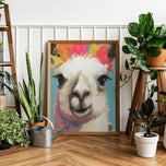 Llama Fiesta