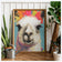 Llama Fiesta