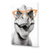 Dino in Orange Glasses