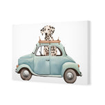 Dog in Car