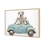 Dog in Car