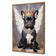 Bulldog King