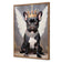 Bulldog King