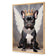 Bulldog King