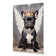 Bulldog King