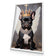 Bulldog King