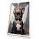 Bulldog King