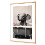 Elephant Bathtime II