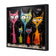 Five Cats