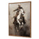 Cow Boy