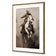 Cow Boy