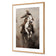 Cow Boy