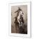 Cow Boy