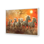 Seven Horses Under the Sun