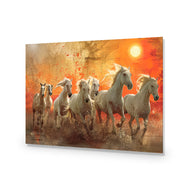 Seven Horses Under the Sun