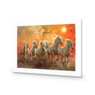 Seven Horses Under the Sun