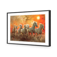 Seven Horses Under the Sun