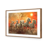 Seven Horses Under the Sun
