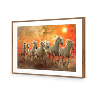 Seven Horses Under the Sun