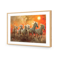 Seven Horses Under the Sun