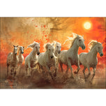 Seven Horses Under the Sun