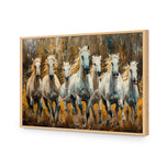 Seven Horses in the Bush