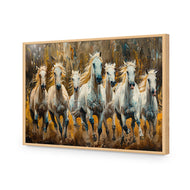 Seven Horses in the Bush
