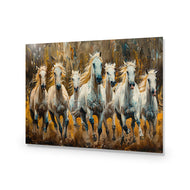 Seven Horses in the Bush
