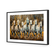 Seven Horses in the Bush