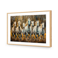 Seven Horses in the Bush
