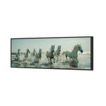 Seven Horses at the Beach