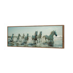 Seven Horses at the Beach