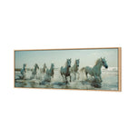 Seven Horses at the Beach (stock)