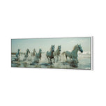 Seven Horses at the Beach