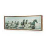 Seven Horses at the Beach