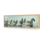 Seven Horses at the Beach