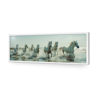 Seven Horses at the Beach