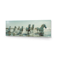 Seven Horses at the Beach (stock)