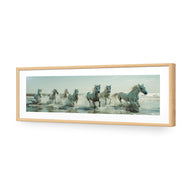 Seven Horses at the Beach