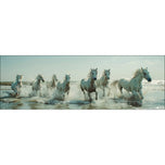 Seven Horses at the Beach