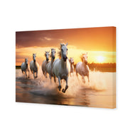 Sunset Horses