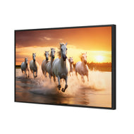 Sunset Horses