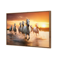 Sunset Horses