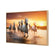 Sunset Horses (stock)