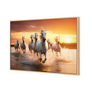 Sunset Horses
