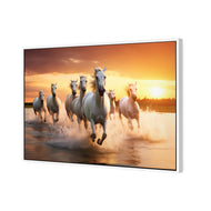 Sunset Horses
