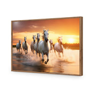 Sunset Horses