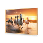 Sunset Horses